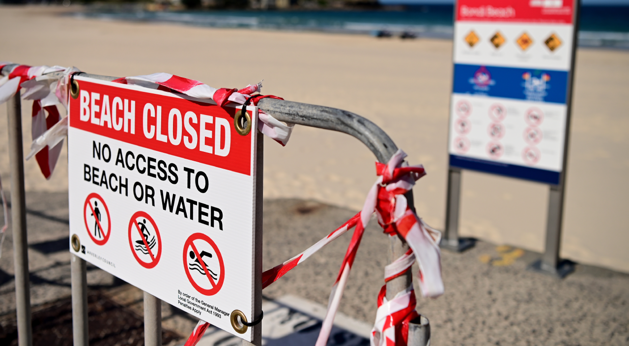 Köpek balığının saldırısına uğrayan sörfçü hayatını kaybetti